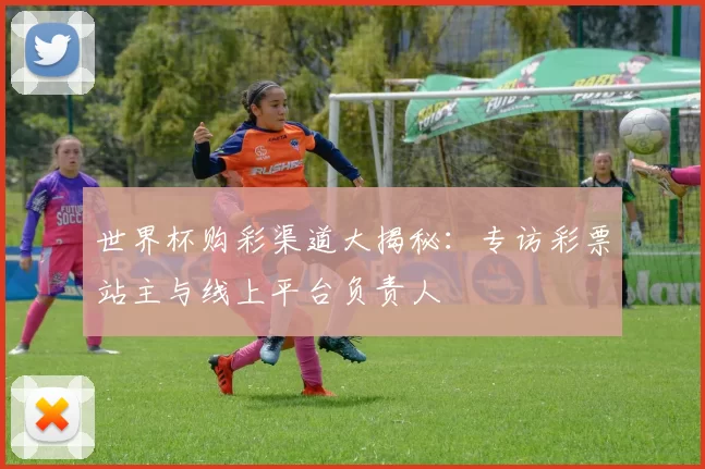 世界杯购彩渠道大揭秘:专访彩票站主与线上平台负责人