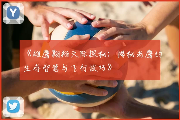 《雄鹰翱翔天际探秘:揭秘老鹰的生存智慧与飞行技巧》