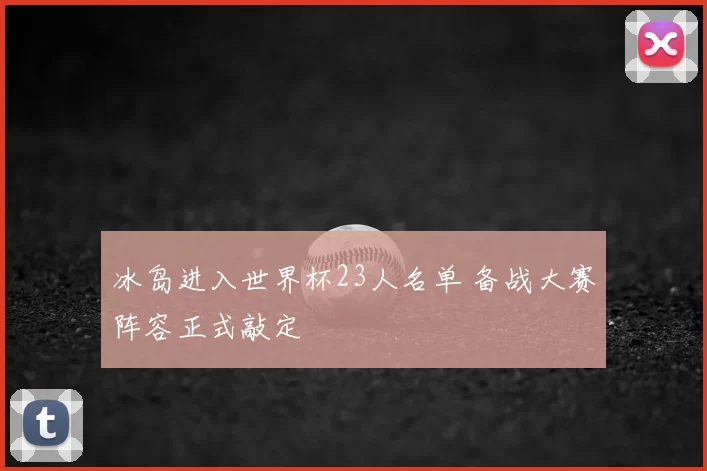 冰岛进入世界杯23人名单 备战大赛阵容正式敲定