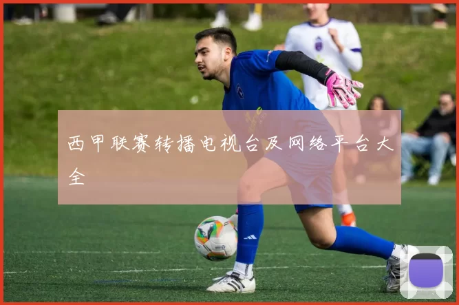 西甲联赛转播电视台及网络平台大全