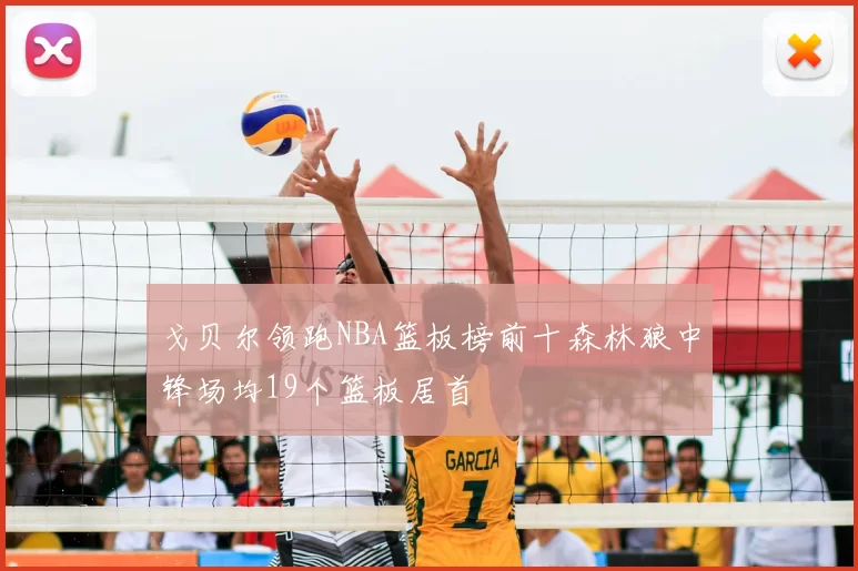 戈贝尔领跑NBA篮板榜前十森林狼中锋场均19个篮板居首