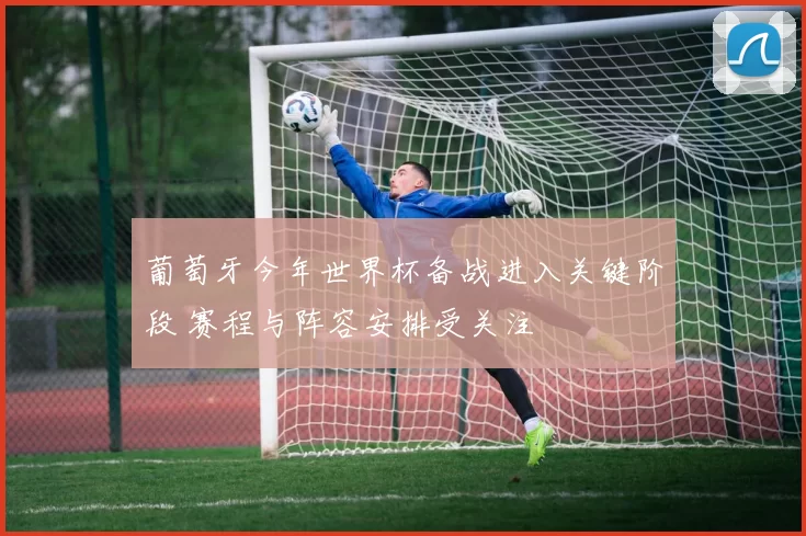 葡萄牙今年世界杯备战进入关键阶段 赛程与阵容安排受关注