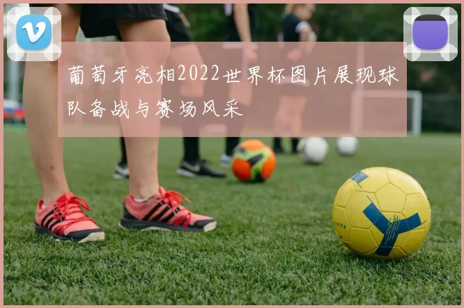 葡萄牙亮相2022世界杯图片展现球队备战与赛场风采