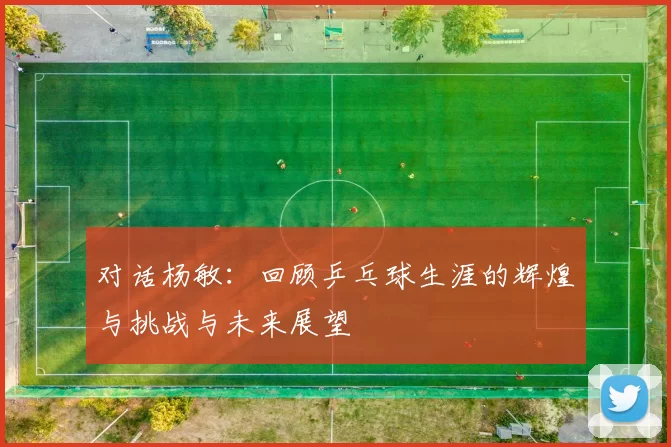对话杨敏:回顾乒乓球生涯的辉煌与挑战与未来展望