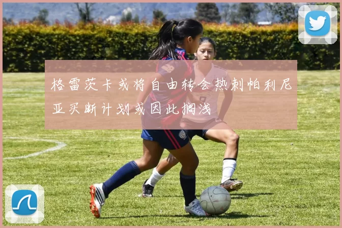 格雷茨卡或将自由转会热刺帕利尼亚买断计划或因此搁浅