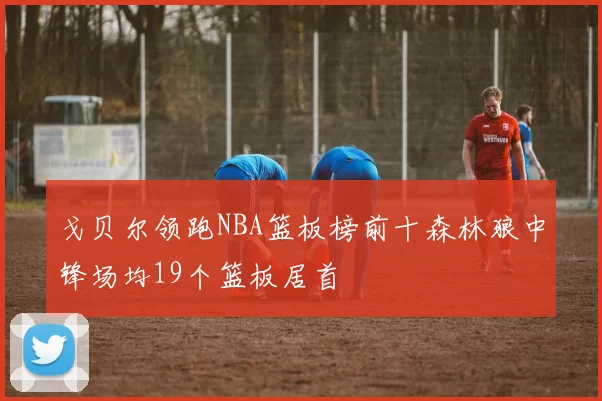 戈贝尔领跑NBA篮板榜前十森林狼中锋场均19个篮板居首