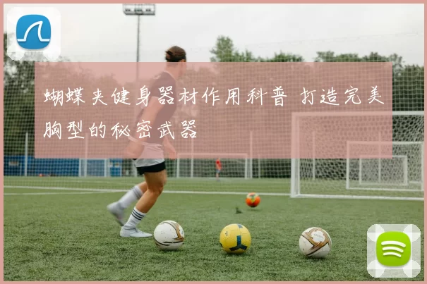 蝴蝶夹健身器材作用科普 打造完美胸型的秘密武器