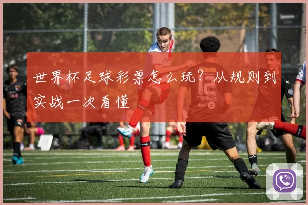 世界杯足球彩票怎么玩?从规则到实战一次看懂