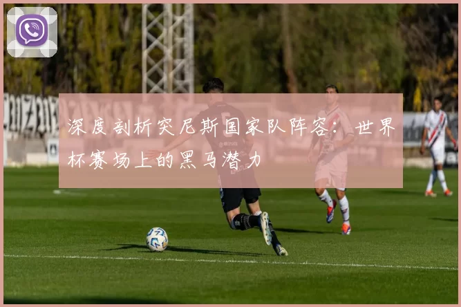 深度剖析突尼斯国家队阵容：世界杯赛场上的黑马潜力