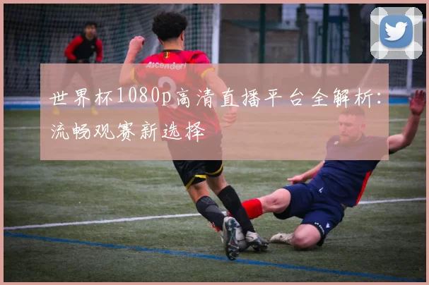 世界杯1080p高清直播平台全解析：流畅观赛新选择
