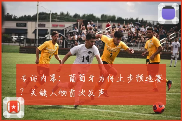 专访内幕:葡萄牙为何止步预选赛?关键人物首次发声