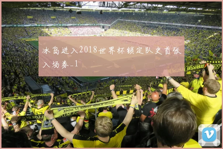 冰岛进入2018世界杯锁定队史首张入场券_1