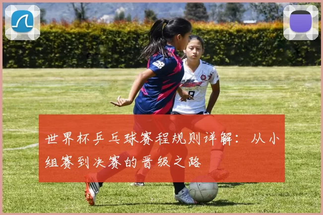 世界杯乒乓球赛程规则详解：从小组赛到决赛的晋级之路
