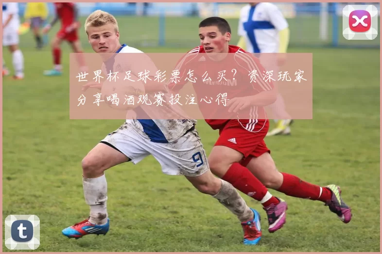 世界杯足球彩票怎么买?资深玩家分享喝酒观赛投注心得