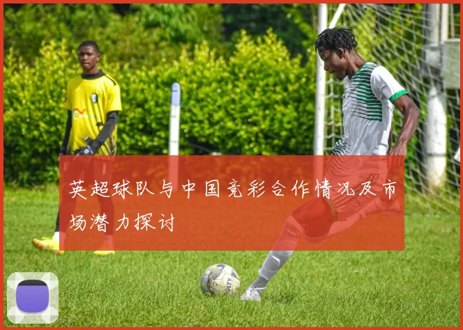 英超球队与中国竞彩合作情况及市场潜力探讨